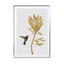 Hummingbird & Flower I Wall Art - Drawdeck