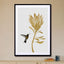 Hummingbird & Flower I - Drawdeck