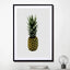 Pineapple - Drawdeck