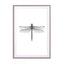 Dragonfly Wall Art - Drawdeck