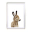 Baby Donkey Wall Art - Drawdeck