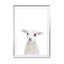 Baby Lamb Wall Art - Drawdeck