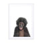 Baby Monkey Wall Art - Drawdeck