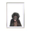 Baby Monkey Wall Art - Drawdeck