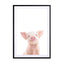 Baby Piglet Wall Art - Drawdeck