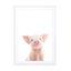 Baby Piglet Wall Art - Drawdeck