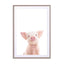 Baby Piglet Wall Art - Drawdeck
