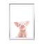 Baby Piglet Wall Art - Drawdeck