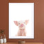 Baby Piglet - Drawdeck