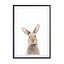 Baby Rabbit Wall Art - Drawdeck