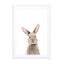Baby Rabbit Wall Art - Drawdeck