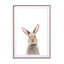 Baby Rabbit Wall Art - Drawdeck