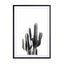 Black Cactus Wall Art - Drawdeck