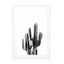 Black Cactus Wall Art - Drawdeck