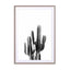 Black Cactus Wall Art - Drawdeck