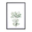Foliage II Wall Art - Drawdeck