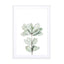 Foliage II Wall Art - Drawdeck