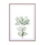 Foliage II Wall Art - Drawdeck