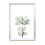 Foliage II Wall Art - Drawdeck