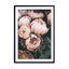 Pastel Peony Wall Art - Drawdeck