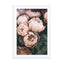 Pastel Peony Wall Art - Drawdeck