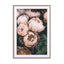 Pastel Peony Wall Art - Drawdeck