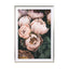 Pastel Peony Wall Art - Drawdeck