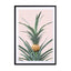 Baby Pineapple Wall Art - Drawdeck