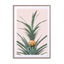 Baby Pineapple Wall Art - Drawdeck