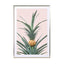 Baby Pineapple Wall Art - Drawdeck
