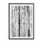 Birch Bw Wall Art - Drawdeck