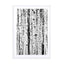 Birch Bw Wall Art - Drawdeck