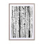 Birch Bw Wall Art - Drawdeck