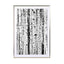 Birch Bw Wall Art - Drawdeck