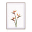 Birds Of Paradise Wall Art - Drawdeck