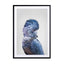 Black Cockatoo Wall Art - Drawdeck