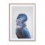 Black Cockatoo Wall Art - Drawdeck