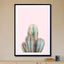Blush Cactus - Drawdeck