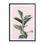 Botanical Blush Wall Art - Drawdeck