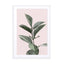 Botanical Blush Wall Art - Drawdeck