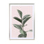 Botanical Blush Wall Art - Drawdeck