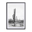 Desert Cactus Bw Wall Art - Drawdeck