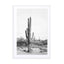 Desert Cactus Bw Wall Art - Drawdeck