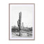 Desert Cactus Bw Wall Art - Drawdeck