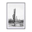 Desert Cactus Bw - Drawdeck