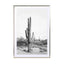 Desert Cactus Bw Wall Art - Drawdeck