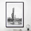 Desert Cactus Bw - Drawdeck