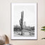 Desert Cactus Bw - Drawdeck