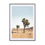 Desert Tree - Drawdeck