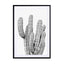 Grey Cactus Wall Art - Drawdeck